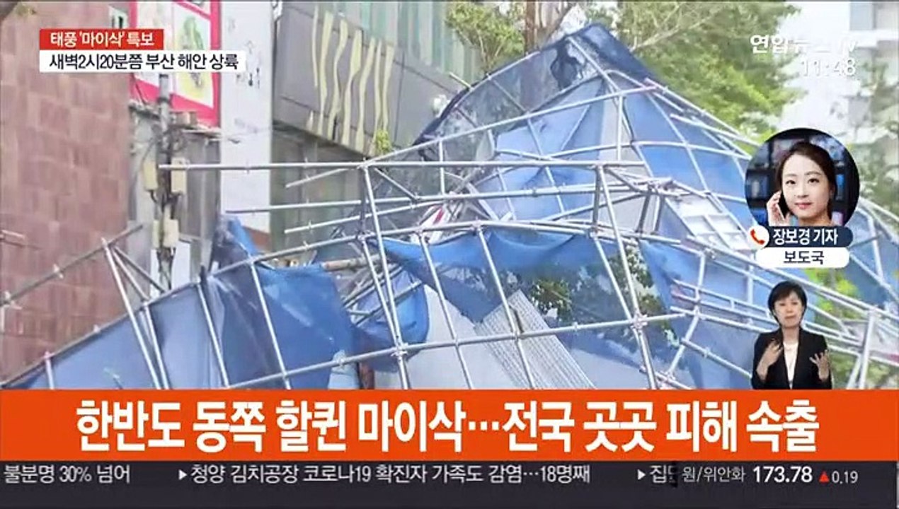 마이삭 강풍 피해 속출…사망 1명·2,400명 대피