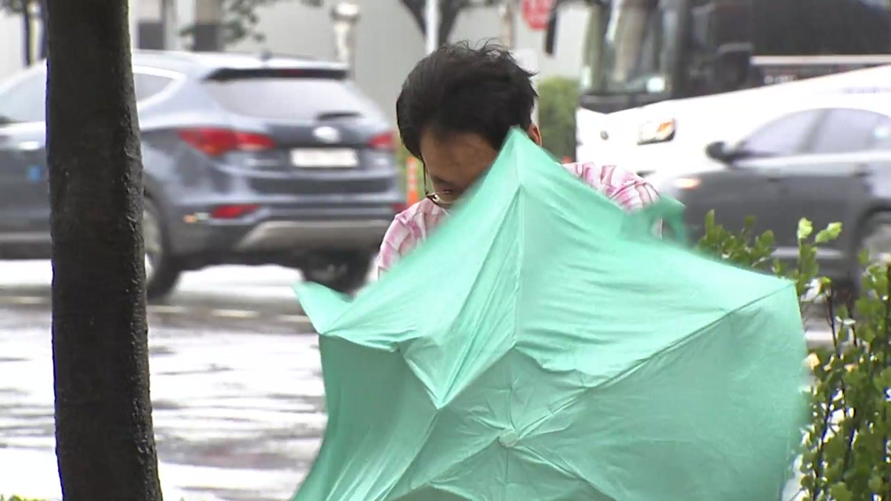 역대급 비바람 몰고온 태풍 '마이삭'...다음 주 더 강한 태풍 온다 / YTN