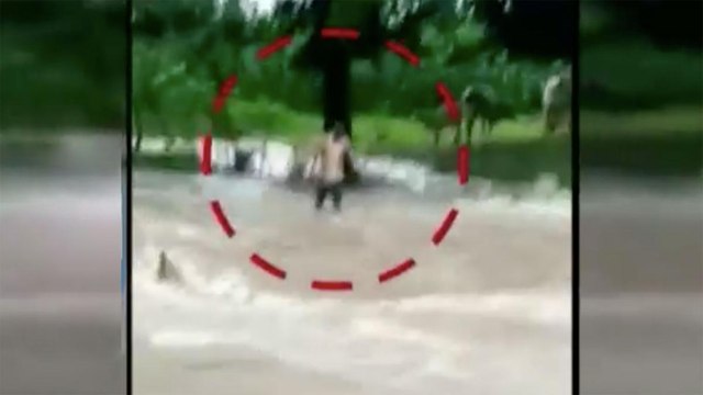 Man swept away by flash flood in Rajasthan