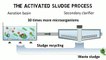 Activated sludge process and IFAS - Design rules guideline