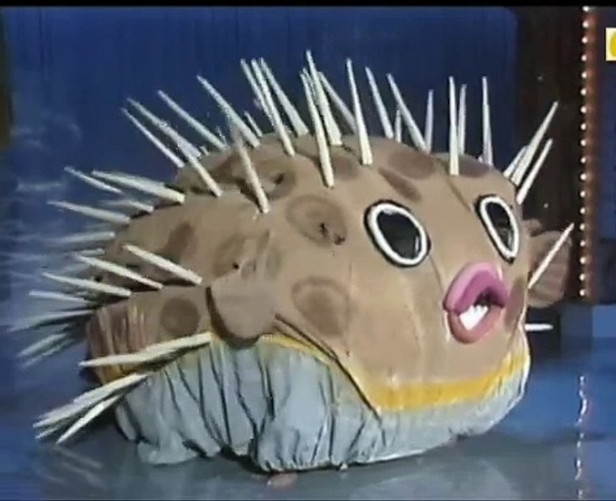 16回41番 はりせんぼん