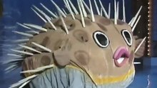 16回41番 はりせんぼん