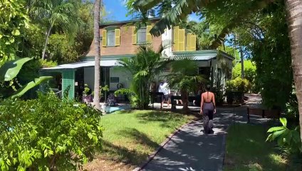 Mutant cats still a draw at Hemingway's virus-hit Florida home