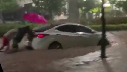 토사 넘치고, 하수 역류하고...'마이삭' 비바람에 곳곳 침수 피해 / YTN