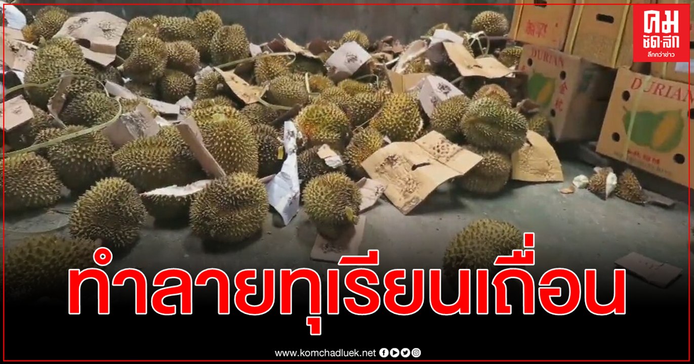 ราชาผลไม้ต้องจากไทย - มาเลเซียเท่านั้น จีนทำลายทุเรียนเถื่อนเกือบ 50 ตัน