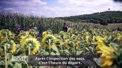 Coronavirus : un stage de vie sauvage pour "devenir plus résilient en cas de problèmes futurs"