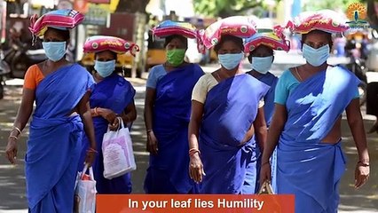 The Wisdom Tree Global School - COVID HOPE ANTHEM