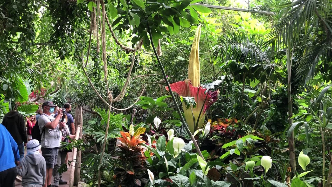 Pairidaiza floraison 3