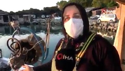 Onlar Karadeniz'in 'kadın reisleri': Balık olmazsa ‘nasip' diyoruz