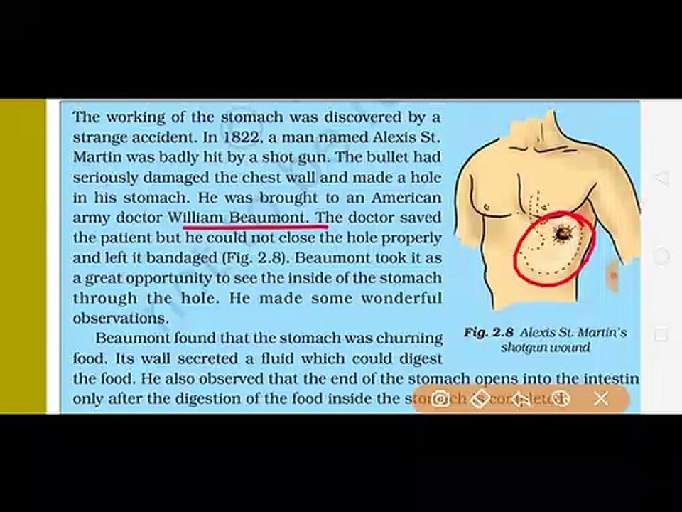Class7th Science chapter 2 Nutrition in Animals part 2 full explanation हिंदी में_1