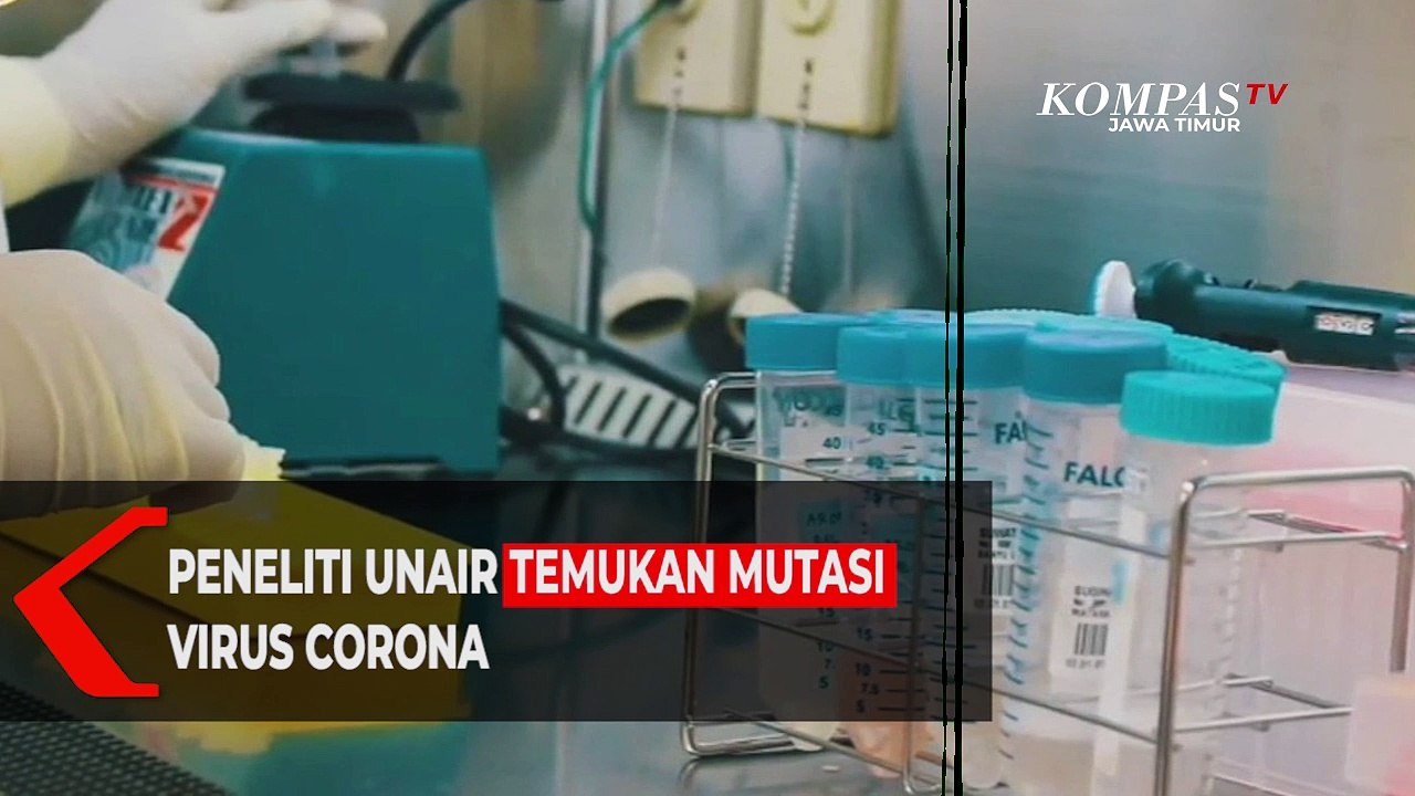 Peneliti UNAIR Temukan Mutasi Baru Virus Corona