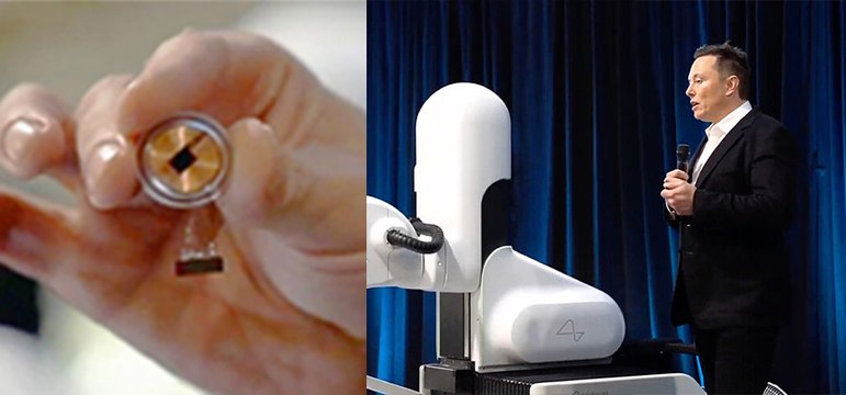 Neuralink: Elon Musk, muestra en un cerdo cómo funciona el microchip cerebral que pretende curar enfermedades neurológicas 