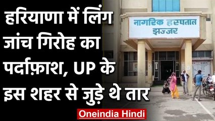 Haryana में लिंग जांच गिरोह का भंड़ाफोड़, दलाल गिरफ्तार, UP से जुड़े थे तार | वनइंडिया हिंदी