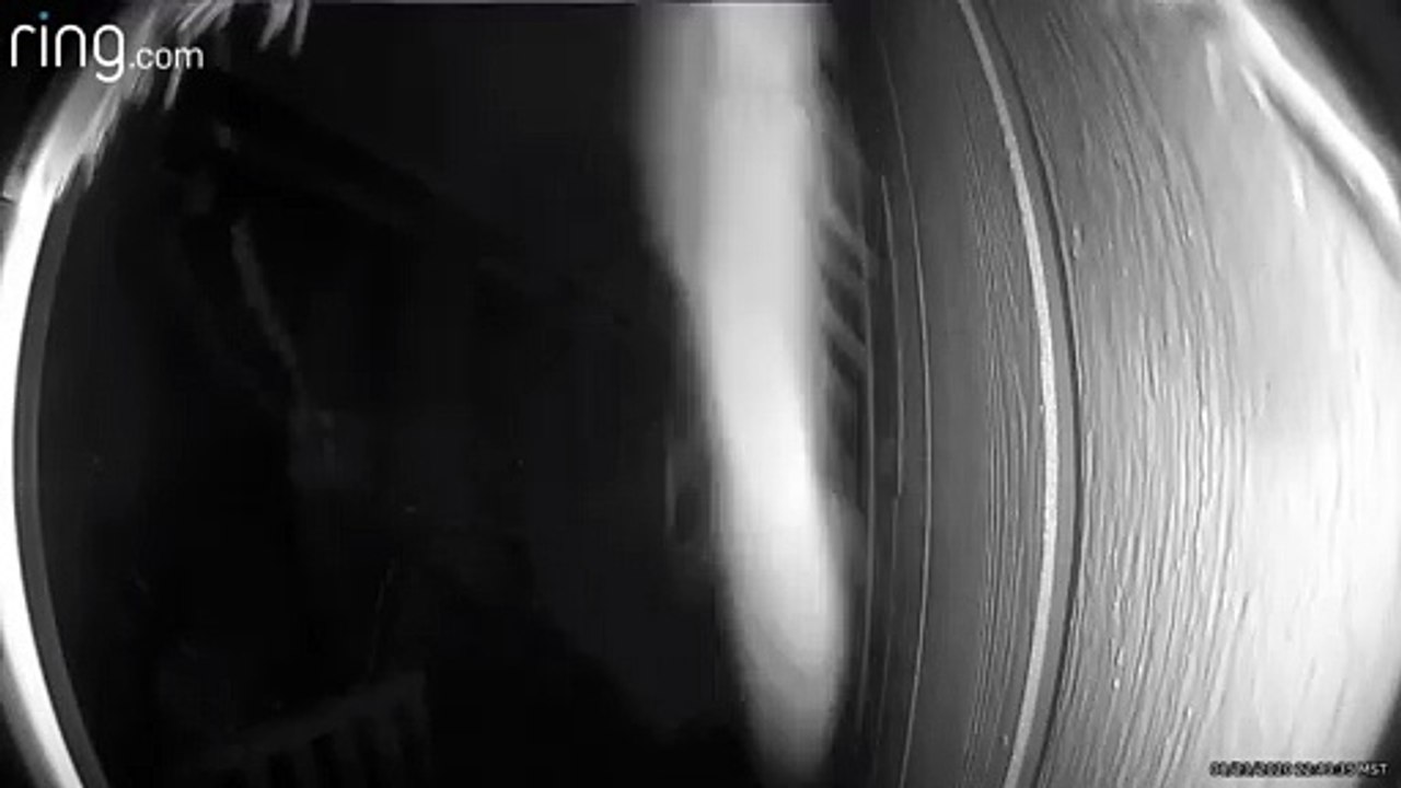Tarantula Crawls Across Doorbell Camera