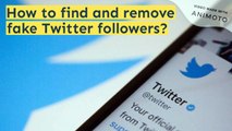 How to find and remove fake Twitter followers?