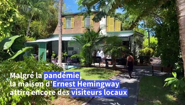 En Floride, la maison d'Hemingway retombe sur ses pattes grâce à ses chats mutants