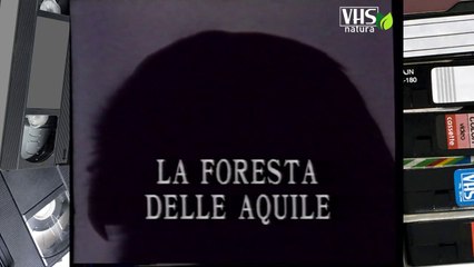 LA FORESTA DELLE AQUILE