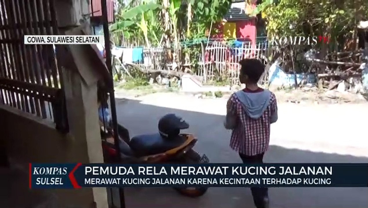 Prihatin, Pria Ini Merawat Kucing Jalanan Yang Sakit