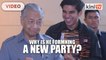 Dr Mahathir- Saddiq's youth 'party' won't succeed