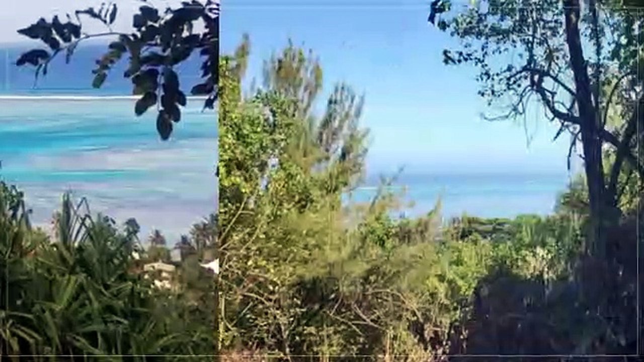 A VENDRE TERRAIN DE 15094M2 A VAIANAE-MOOREA