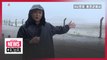 N. Korea's state TV airs rare live coverage of Typhoon Maysak