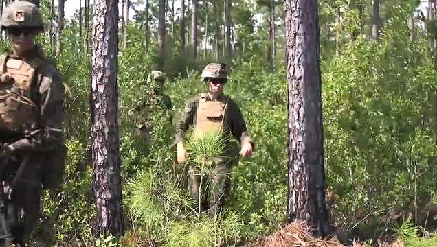 U.S. Marines • Platoon Operations • Camp Lejeune, North Carolina, Aug 31 2020