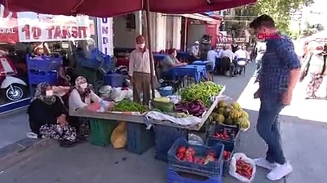 Çanakkalede yetişen 1 kilo 120 gramlık domates büyüklüğüyle şaşırttı