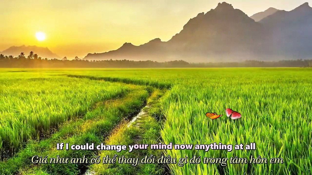 78.Please Don't Leave Me 谢谢你的爱 (English Version Lyrics) by Tokyo Square