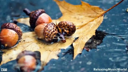 79.Quand Je Pense À Toi (When I Think Of You) - Claudia Laurie - Lyrics