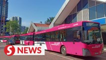 Pink feeder buses to service Kelana Jaya LRT line