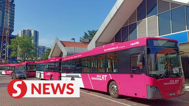 Pink feeder buses to service Kelana Jaya LRT line