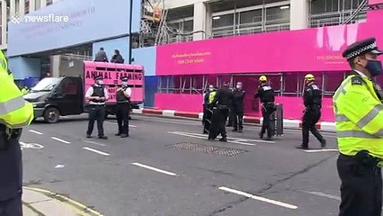 Animal rights activists in London cause rush hour chaos with a slaughterhouse truck