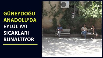Güneydoğu Anadolu'da eylül ayı sıcakları bunaltıyor