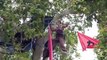 Extinction Rebellion activists camp in trees at terrifying height in Parliament Square