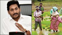 Andhra Pradesh : రైతులపై ఒక్క రూపాయి కూడా భారం పడదు - AP CM YS Jagan || Oneindia Telugu