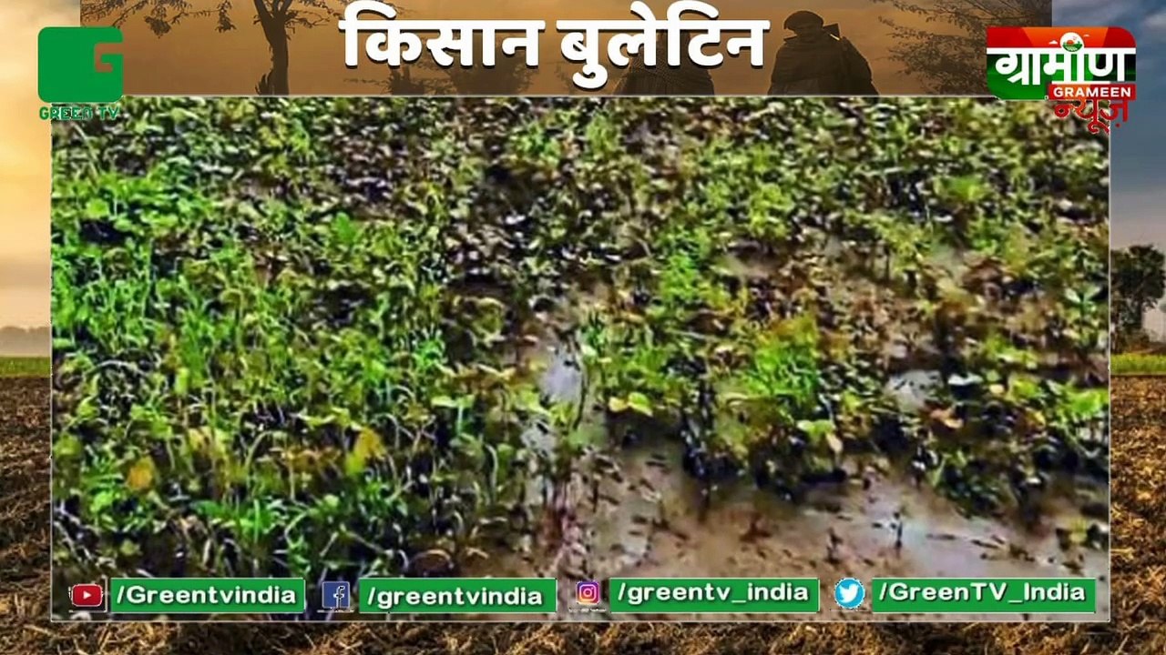 The farmer committed suicide by hanging himself from the teak tree, the farmer was worried about the soybean crop being ruined | Kisan Bulletin | Grameen News