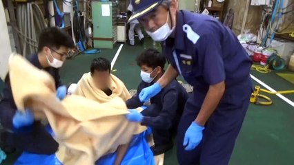 Cargueiro afunda no Japão com 43 pessoas e 6.000 vacas