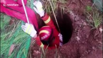 Chinese firefighters rescue 200 kg buffalo trapped in narrow sewer