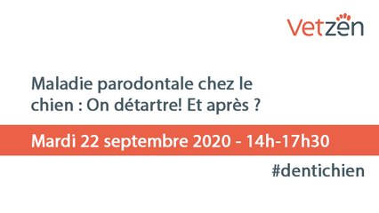 Vetzen - Maladie parodontale chez le chien : On détartre! Et après ?