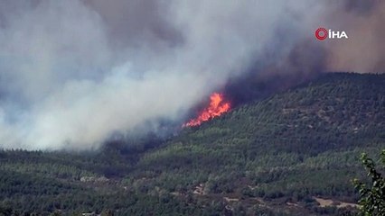 Uşak’ta çıkan yangını kontrol altına alma çalışmaları devam ediyor