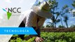 Agroe­co­lo­gía se con­vier­te por pri­me­ra vez en po­lí­ti­ca pú­bli­ca en Ar­gen­ti­na