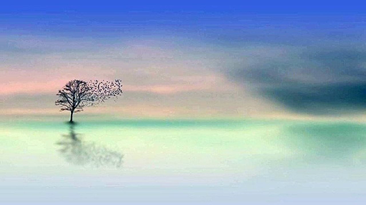 (Free)  Music to relax