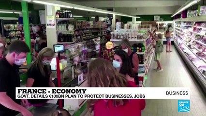 French govt unveils €100 billion stimulus, a third earmarked for green investment