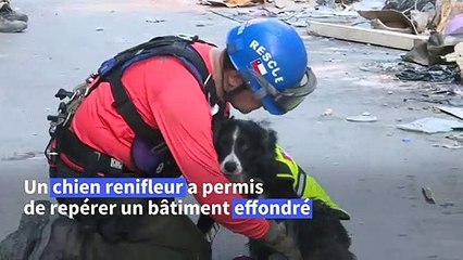 Liban: des secouristes cherchent de possibles survivants de l'explosion