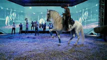 Banda Carnaval - Pica Perica