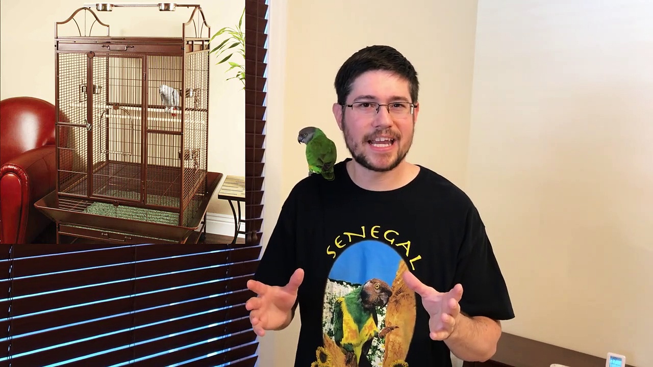 3 Most Overrated and Underrated Parrot Supplies!