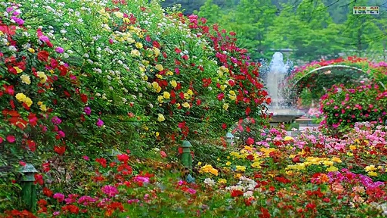 The Most Beautiful Gardens in Europe