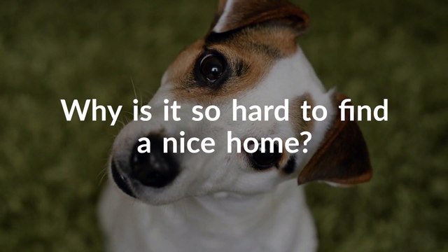 newport beach real estate travis white