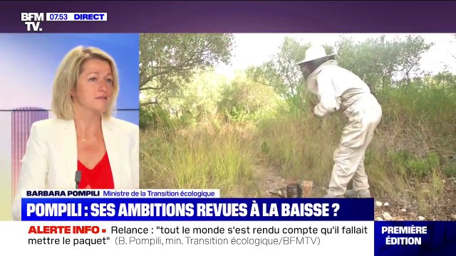 Barbara Pompili: 90% des néonicotinoïdes sont interdits mais on a un problème sur les betteraves
