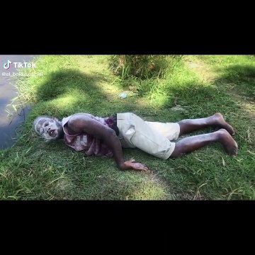 ANIMALES VIRALES - TIK TOK ANIMALES GRACIOSOS